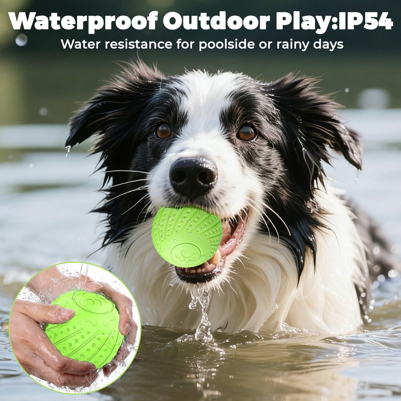 Remote-Controlled Interactive Dog Ball Toy: Silent Motion-Activated