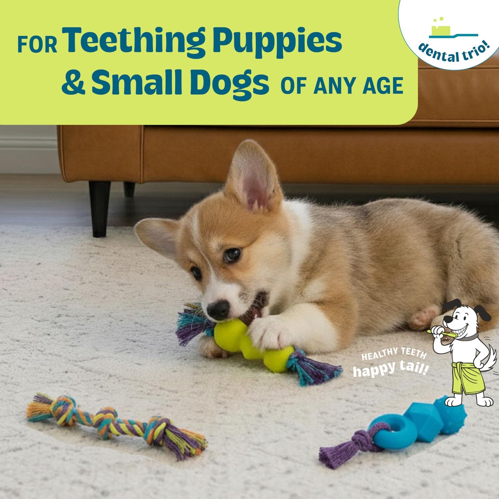 Pupstages Mini Dentachew Pack Dental Chew Toy, Mini, 3 Pk