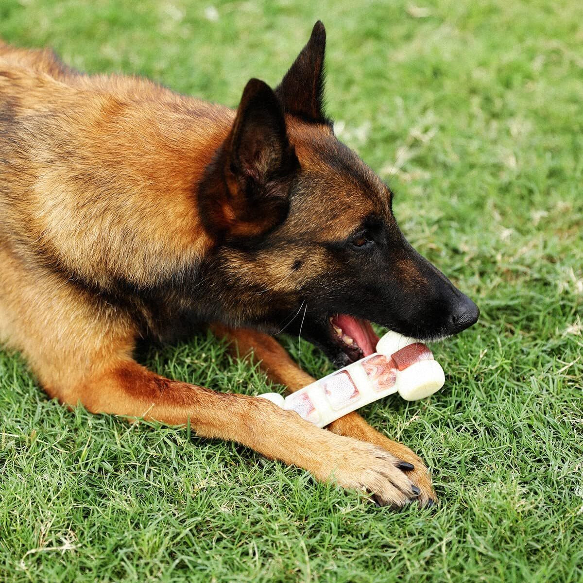 Tikaton Hammerbone Durable Dog Chew Toys Bone for Aggressive Chewers Beef Flavor