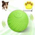 Remote-Controlled Interactive Dog Ball Toy: Silent Motion-Activated