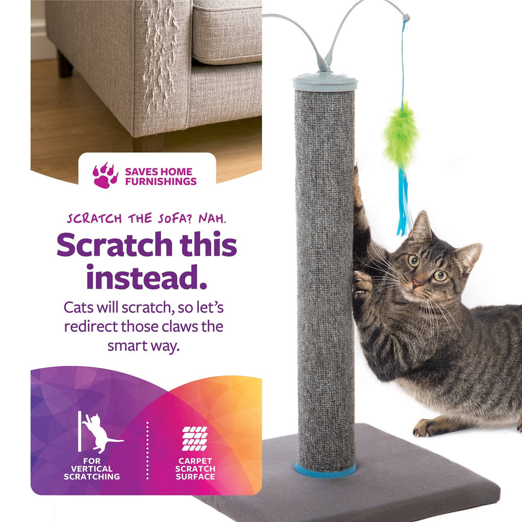 SmartyKat Scratch 'N Spin Cat Toy, Carpet Scratching Post, Interactive Spinning