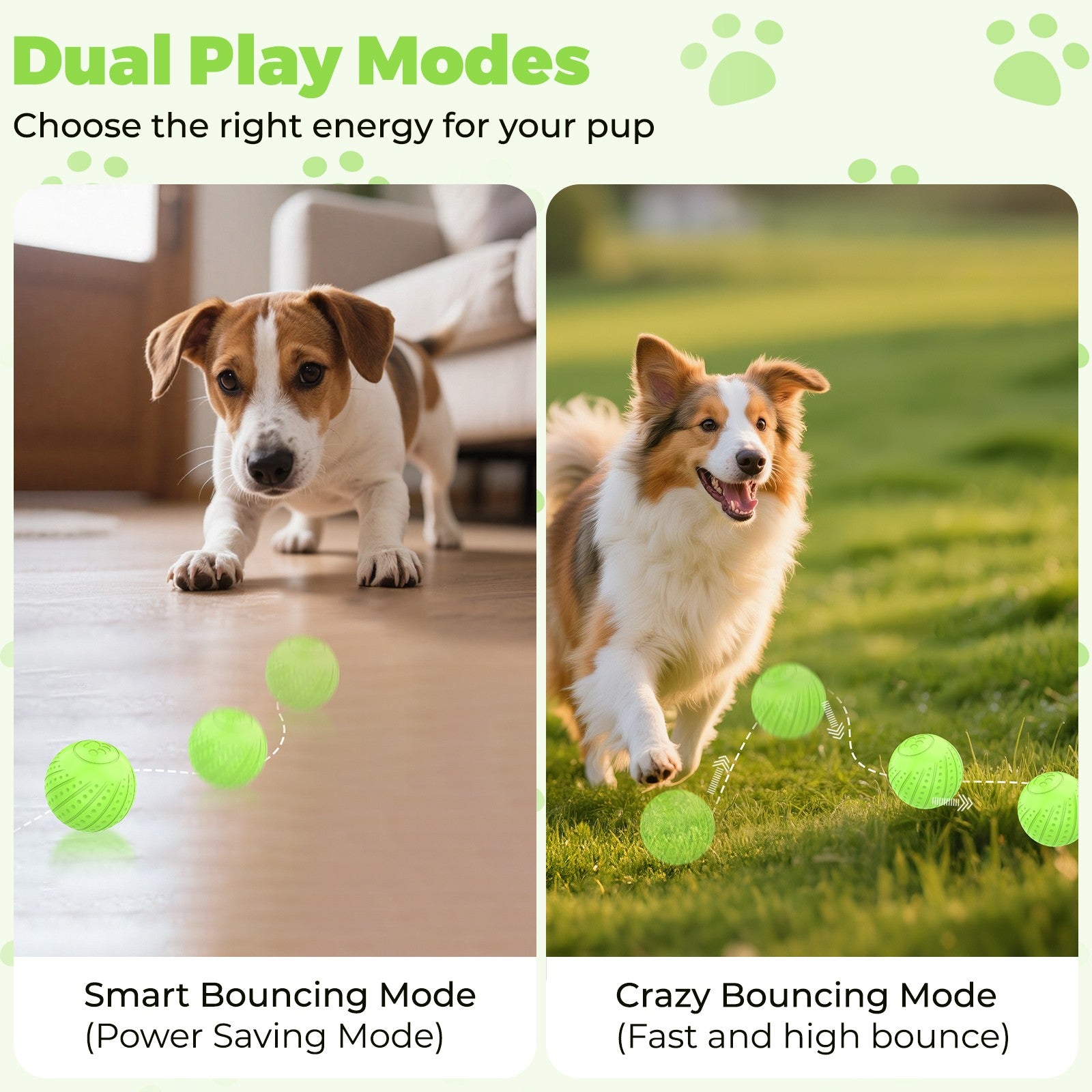 Remote-Controlled Interactive Dog Ball Toy: Silent Motion-Activated