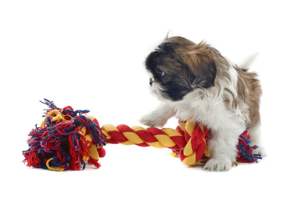 Chew and Squeaky Dog Toys for Puppy Doggie and Small Medium Dog. 6 pcs inside
