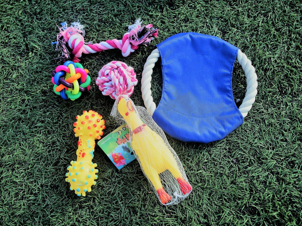Chew and Squeaky Dog Toys for Puppy Doggie and Small Medium Dog. 6 pcs inside