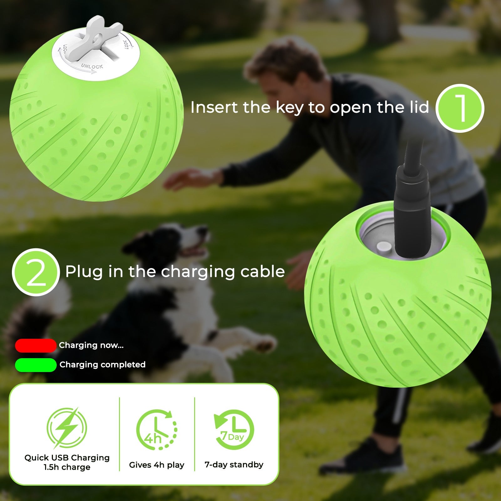 Remote-Controlled Interactive Dog Ball Toy: Silent Motion-Activated