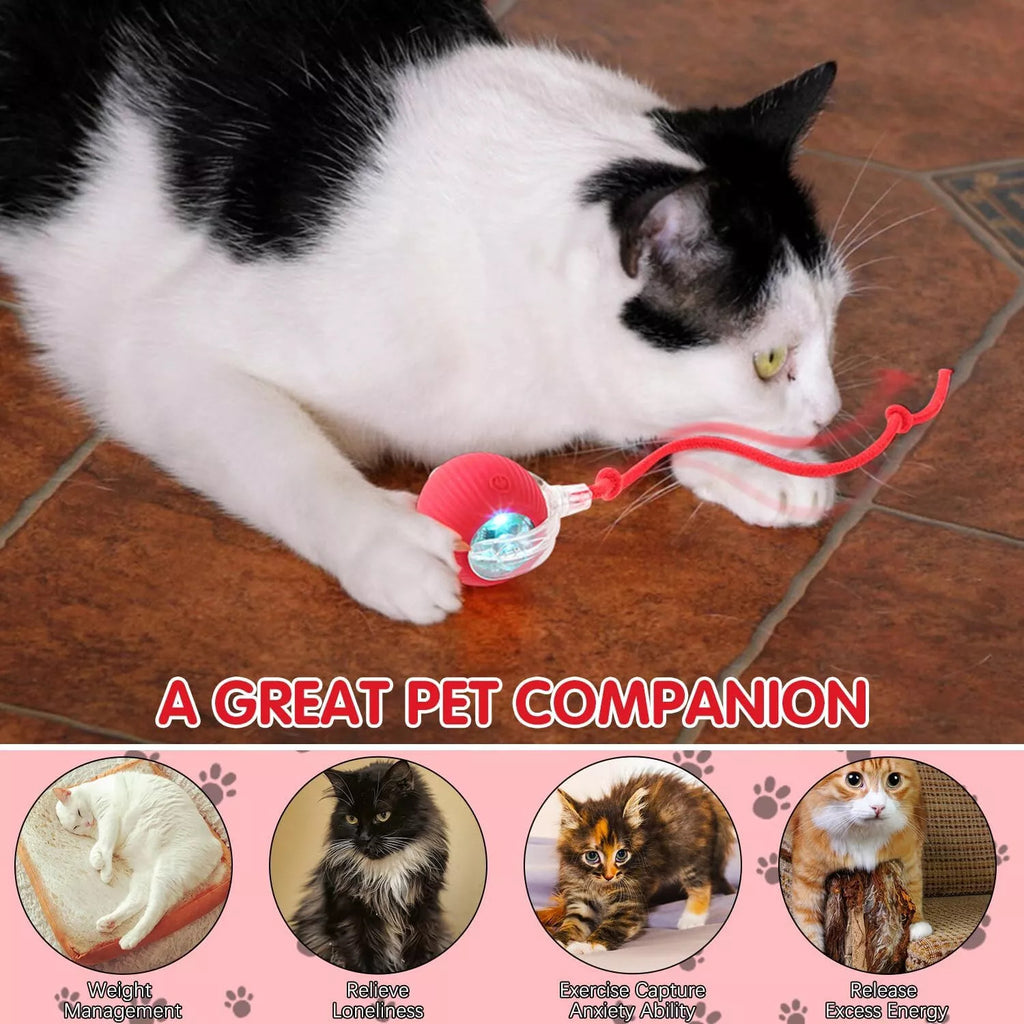 2Pcs Automatic Rolling Ball Smart Cat Dog Toy Electric Pet Self-moving Kitten