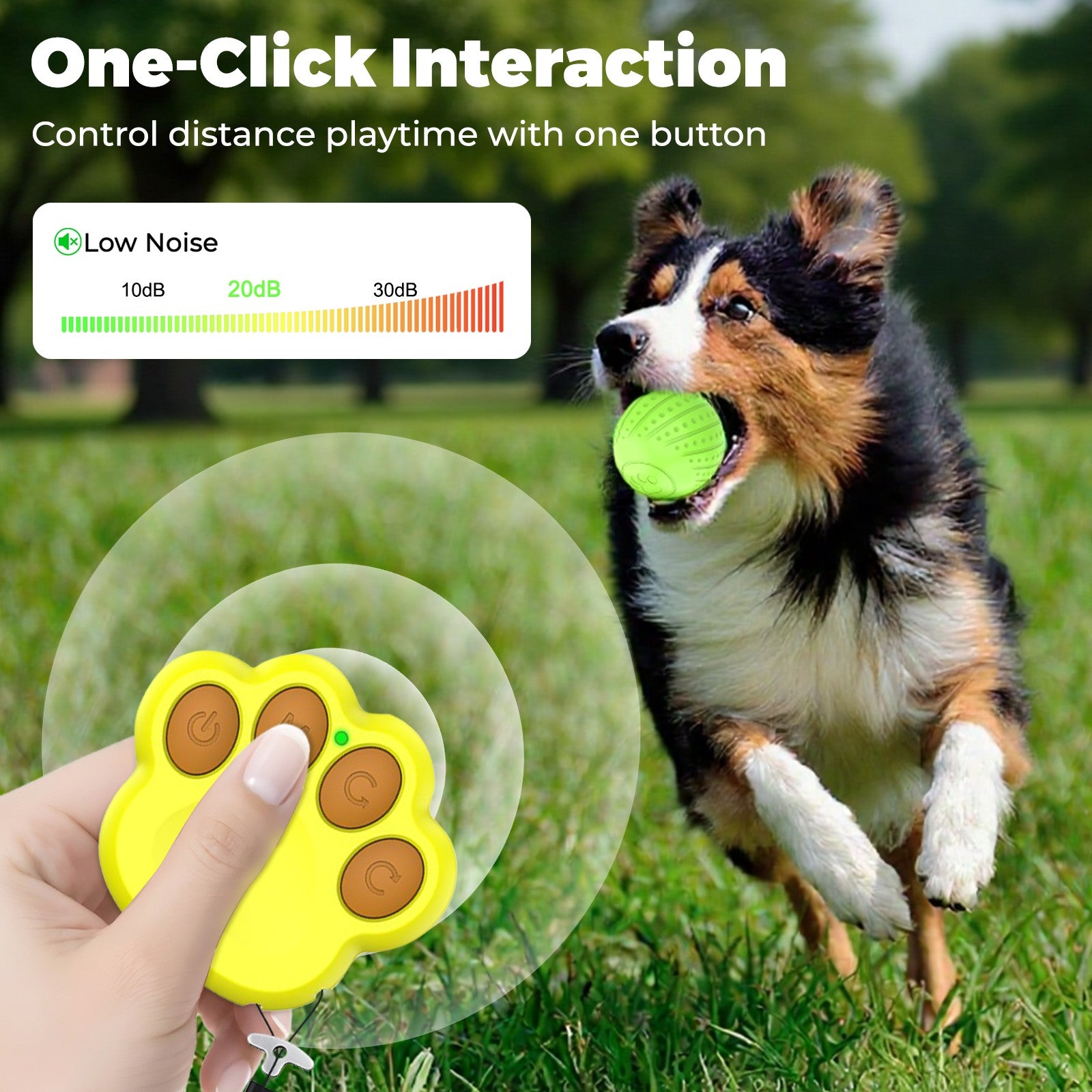 Remote-Controlled Interactive Dog Ball Toy: Silent Motion-Activated