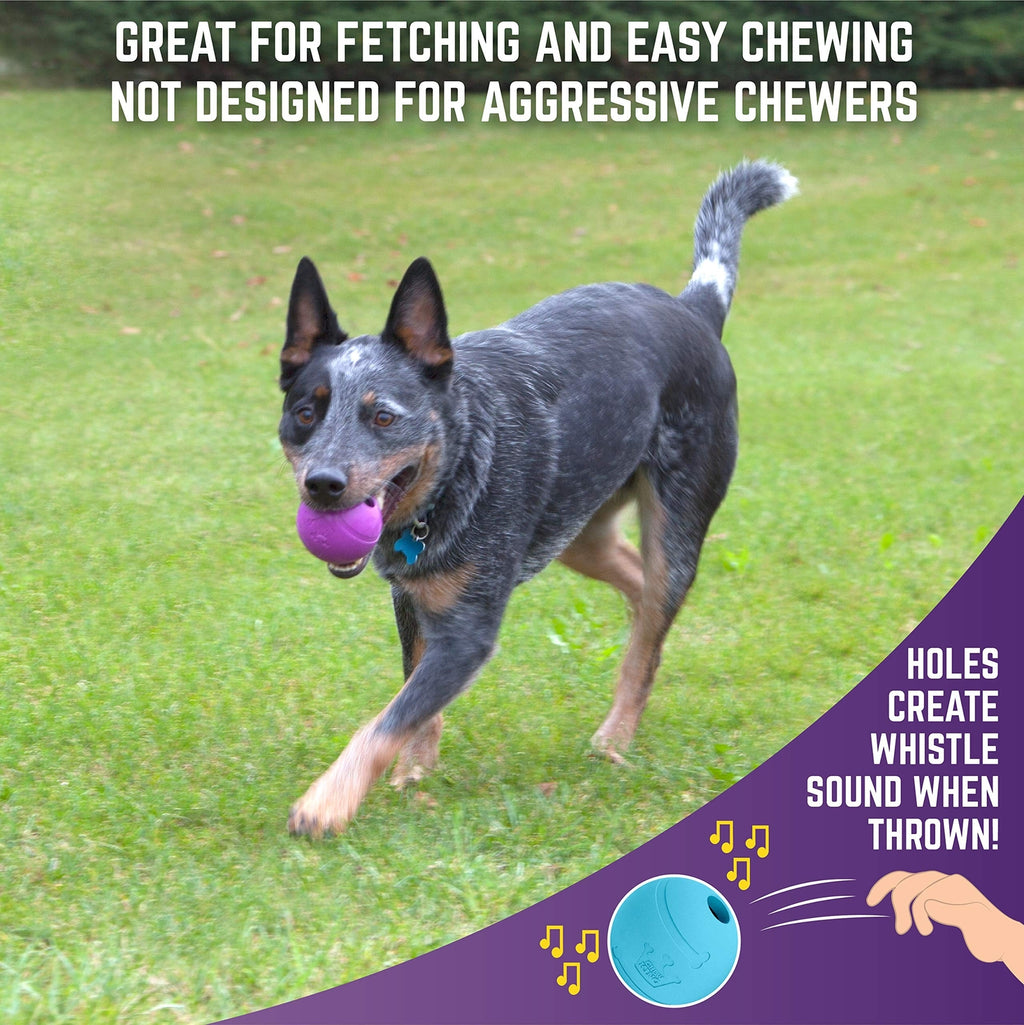 Chew King Fetch Balls Extremely Durable Natural Rubber Toy 3 inch Balls (CM-0...