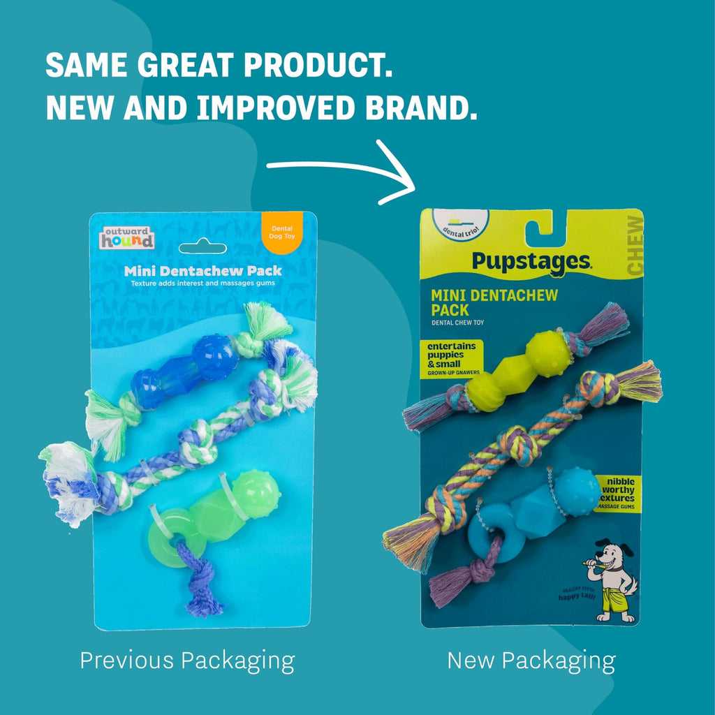 Pupstages Mini Dentachew Pack Dental Chew Toy, Mini, 3 Pk