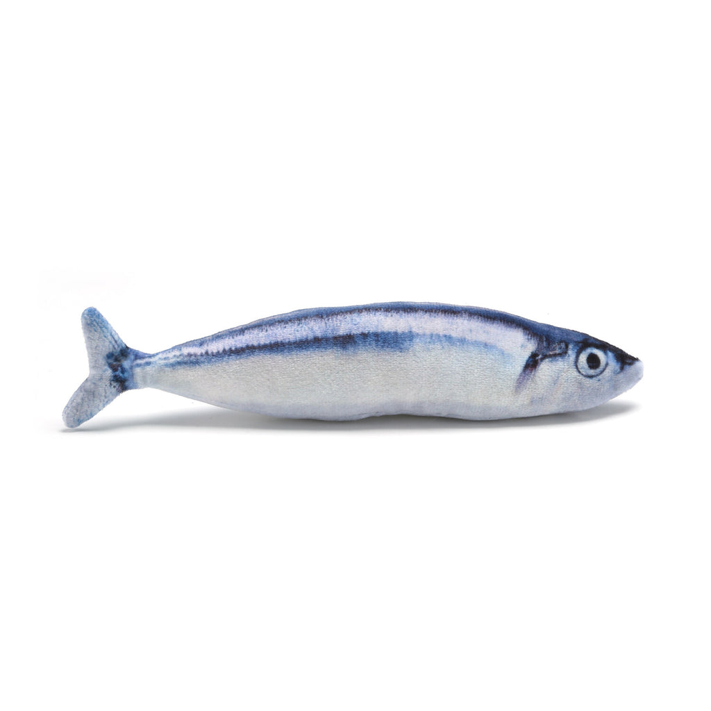5 Pack Realistic Interactive Fish Cat Kicker Crazy Pet Toy Catnip Toys Gifts