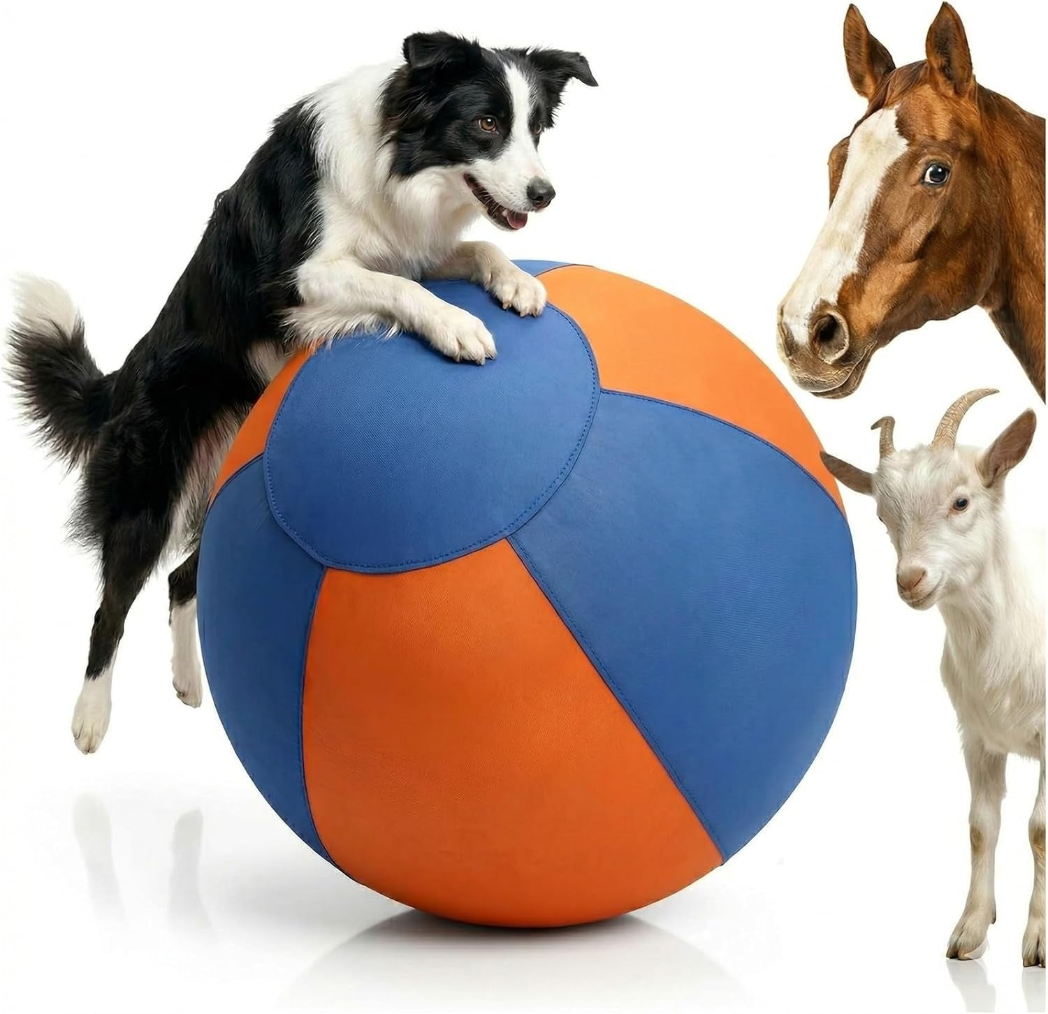 Heavy-Duty Herding Ball for Medium & Large Dogs, Perfect for Pushing & Chasing