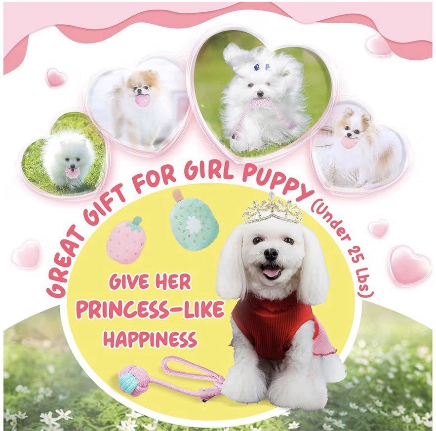 Puppy Toys for Boredom, 23 Pack Chew Toys for Teething,  Dogs