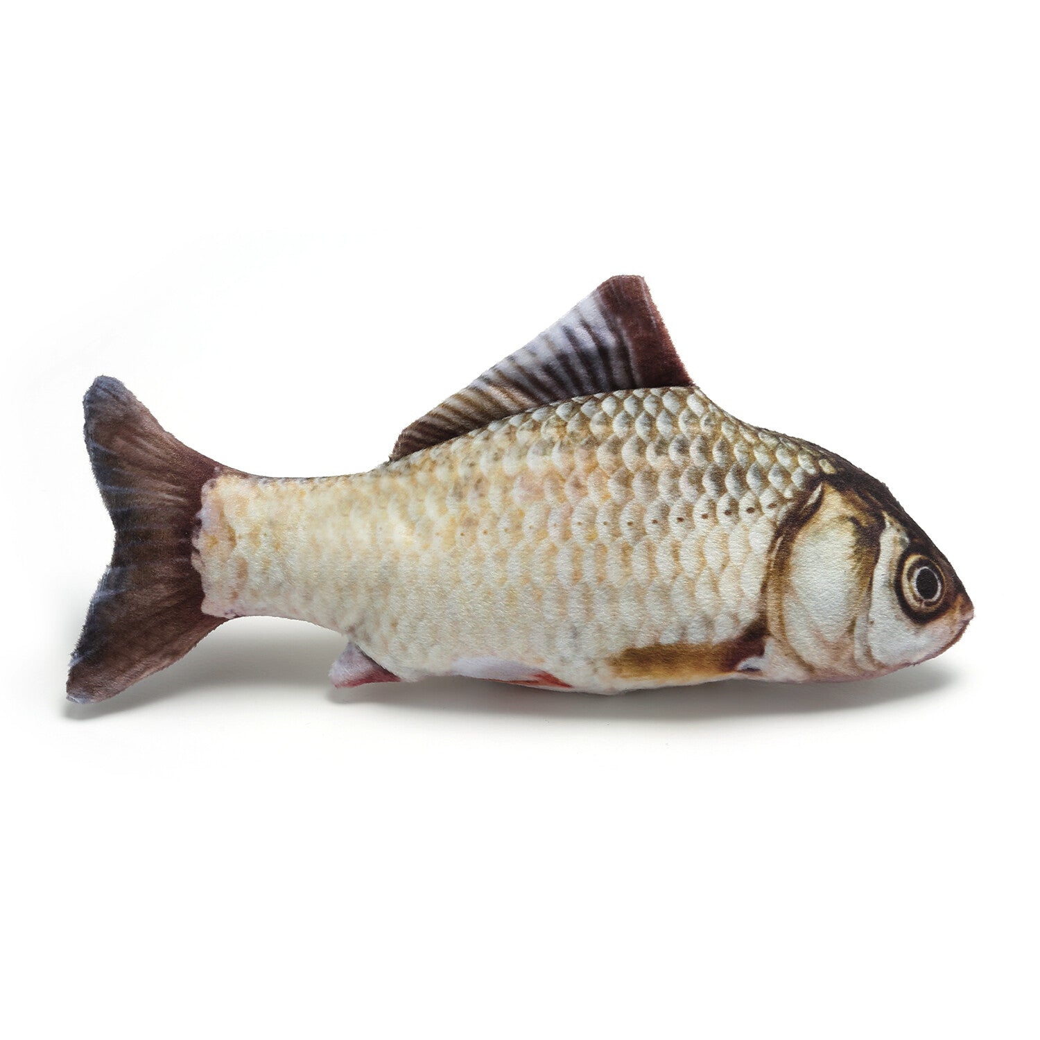 5 Pack Realistic Interactive Fish Cat Kicker Crazy Pet Toy Catnip Toys Gifts