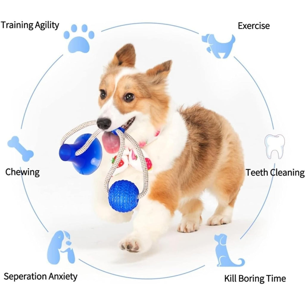 Dog Chew Toys for Aggressive Chewers, Durable Pet Teeth Cleaning Dog Toys