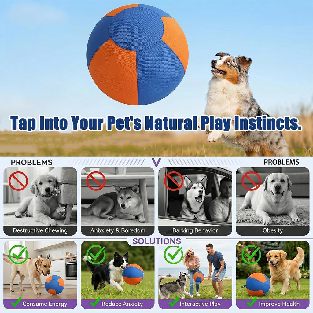 Heavy-Duty Herding Ball for Medium & Large Dogs, Perfect for Pushing & Chasing
