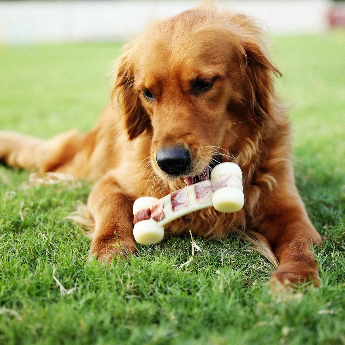 Tikaton Hammerbone Durable Dog Chew Toys Bone for Aggressive Chewers Beef Flavor