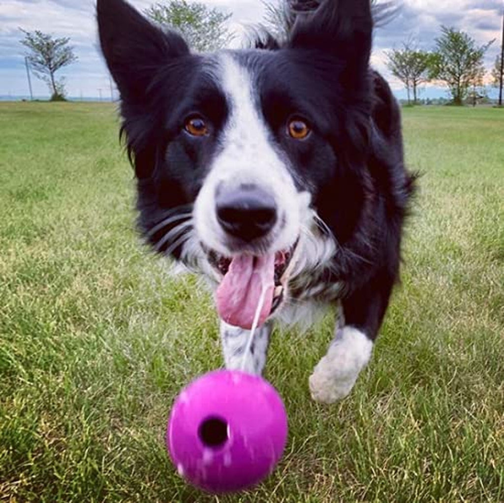 Chew King Fetch Balls Extremely Durable Natural Rubber Toy 3 inch Balls (CM-0...